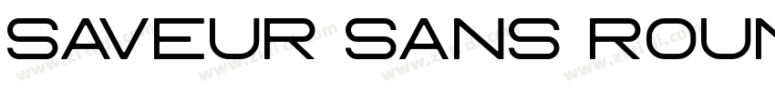 Saveur Sans Round字体转换